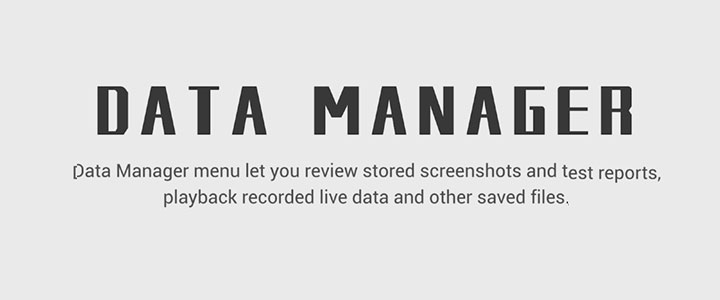 Data Manager
